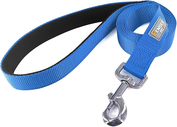 Basic Dog Leashes 6 FT Padded Handle Nylon Dogs Leashes for Medium Dogs Blue