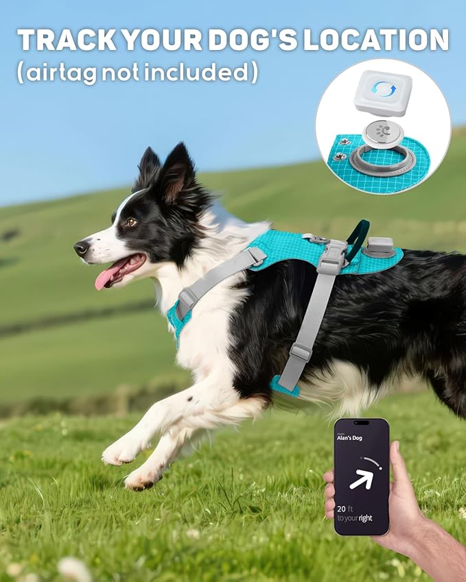 TagME No Pull Dog Harness with 2 Leash Clips,Lightweight & Visible for All-Day Walking,No Choke Pet Vest Includes AirTag Holder for Large Dogs,Teal