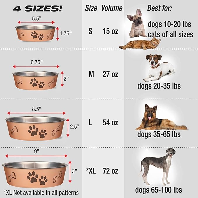 Loving Pets Bella Dog Bowls- Stainless Steel Dog & Cat Bowls - Spill Proof Dog Food Bowl, Cat Bowl, Puppy Essentials & Pet Supplies Great for Home & Travel (Medium 20-35 lbs, Champagne)