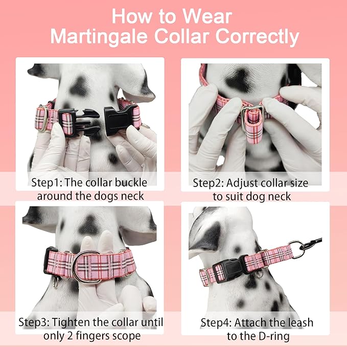 Martingale Collar with Quick Release Buckle Cute Girl Female Training Dog Collars (Pink Plaid, Medium)
