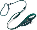 Dog Slip Lead Dog Leash, Heavy Duty No-Pull Training Leash w/Poop Bag Holder, Anti-Tangle, Multi-Handles & Reflective Thread for Small, Medium Dogs 4FT Green