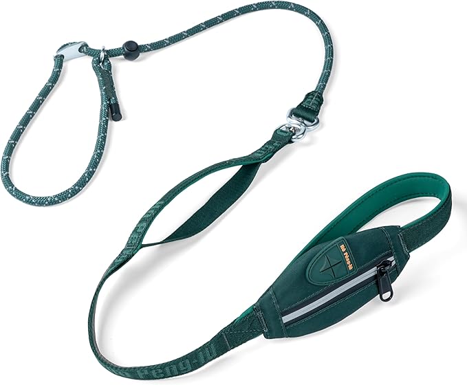 Dog Slip Lead Dog Leash, Heavy Duty No-Pull Training Leash w/Poop Bag Holder, Anti-Tangle, Multi-Handles & Reflective Thread for Medium, Large Dogs 5FT Green