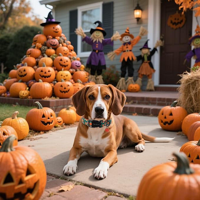 Unique style paws Dog Collar Plastic Buckle with Pendant Halloween Pumpkin Party Puppy Collars for Small Medium Large Boys Girls Dogs