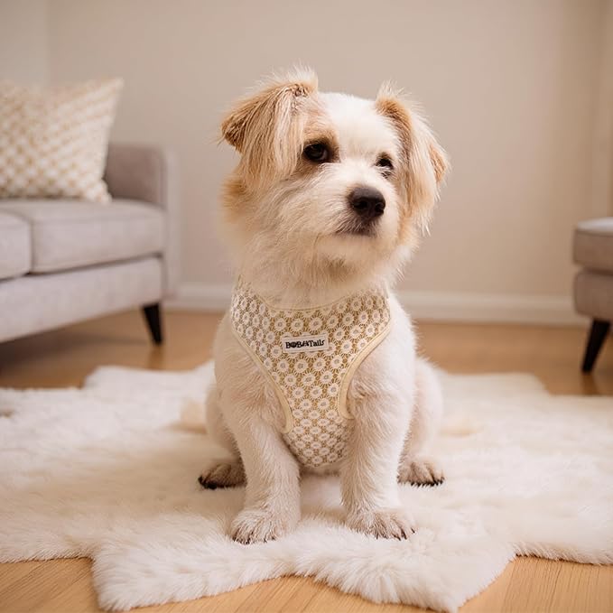 No Pull Dog Vest Harness for Small&Medium Dogs, Side Clip Adjustable Pet Vest, Soft Breathable, Fashion Dog Harnesses for Walking, Running, Shopping (Gold, M)