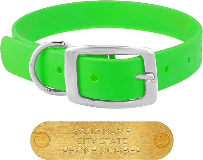 Regal Dog Products Small Light Green Waterproof Dog Collars with Custom Engraved Name Plate | Vinyl Coated, Easy to Clean Personalized Biothane Dog Collar - Other Sizes for Medium & Large Dogs
