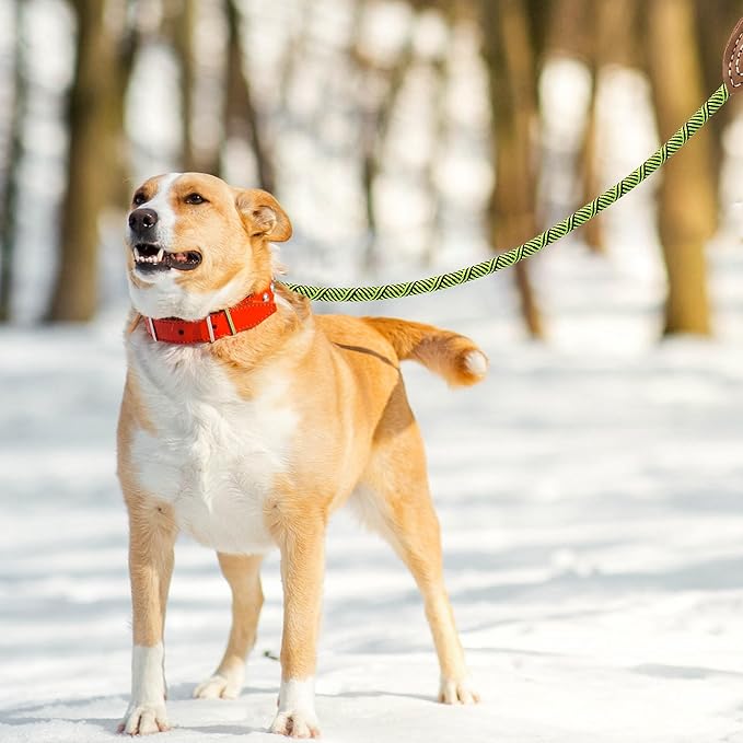 Mile High Life | Mountain Climbing Dog Rope Leash with Heavy Duty Metal Sturdy Clasp | Genuine Leather Tailored Connection with Strong Stitches (Lime Green, 60 Inch (Pack of 1))