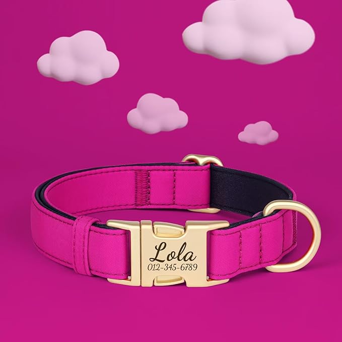 PET ARTIST Colorful Personalized Dog Collars, Custom Dog Collar with Silent Engraved ID Tag, Lightweight Breathable Nylon & Soft Padded, Matching Leash & Poop Bag for Medium Dogs,Rose,M Fit 13-20"
