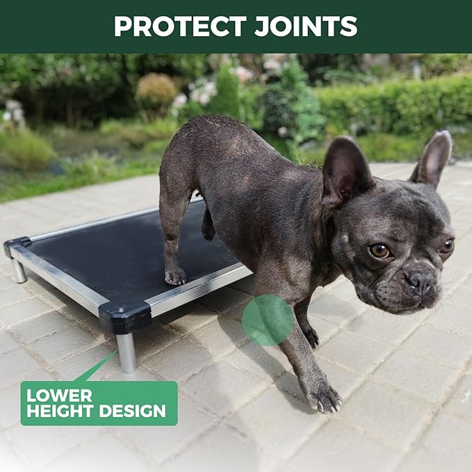 FXW TitanNest Chew-Proof Elevated Dog Bed, Raised Cot for Indoor/Outdoor/Camping Use, Durable & Waterproof Cooling Pet Bed for Small Dogs, 35.0" L x 22.0" W x 4.5" H, Black
