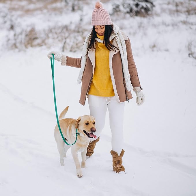 Dogline Biothane Slip Dog Leash - for Small, Medium and Large Dogs - Odor Free Slip Lead, Heavy Duty and Durable Material Kennel Lead - Teal - 7ft L x 5/8in W