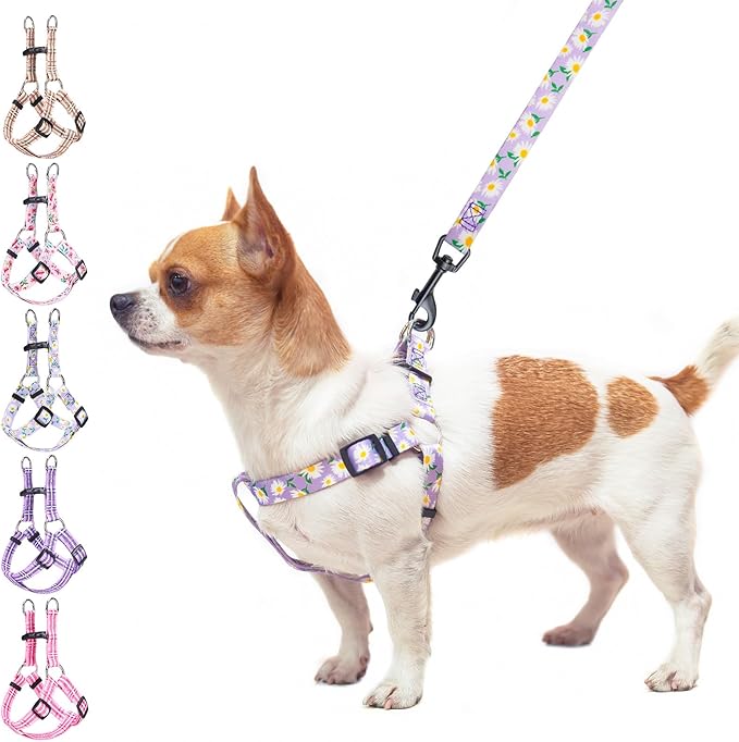 BEAUTYZOO No Pull Dog Harness and Leash Set - Adjustable Step-in Puppy Harness for Small Medium Large Dogs, Escape Proof Soft Nylon Vest with Double D Ring for Walking Running Training, Purple XS