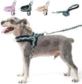 BEAUTYZOO No Pull Small Dog Harness and Leash Set, Soft Puppy Vest Harness with Handle Escape Proof & Easy Walk, Lightweight Dog Winter Harness Chest Adjustable for Girl Boy Dogs Max 7 lbs, Green XXS