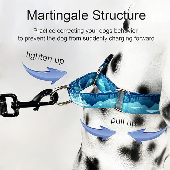 Martingale Collar for Dogs with Buckle Dog Collar Adjustable Soft Nylon Boy Dog Collars for Extra Large Dogs, Blue Sunset