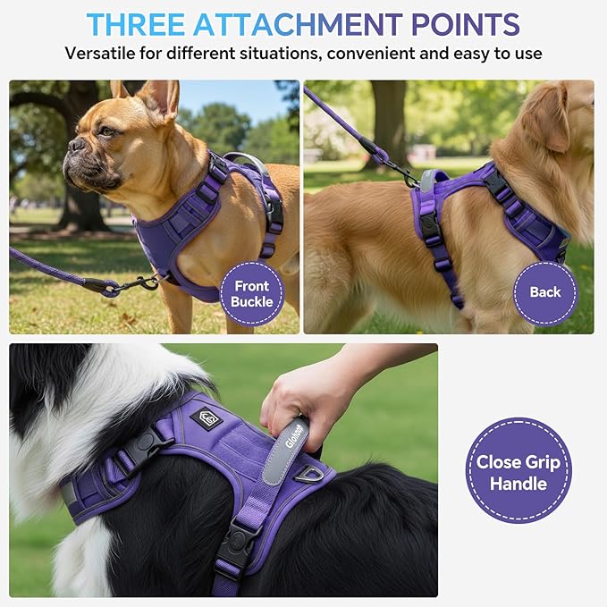 Heavy Duty Tactical Dog Harness for Small Dogs, No Pull Dog Harness with Handle & Front Clip, Reflective Soft Padded, Hook and Loop Panel, Dog Vest for Walking, Service Training, Purple