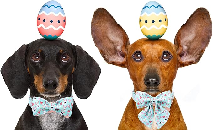 DOGWONG Cotton Easter Dog Collar with Bowtie, Soft Adjustable Blue Bunny Easter Day Dog Collar Cute Colorful Egg Puppy Collar for Small Medium Large Dog
