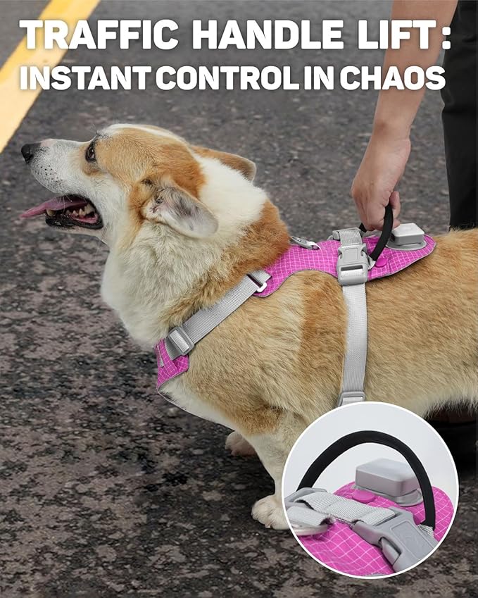 TagME No Pull Dog Harness with 2 Leash Clips,Lightweight & Visible for All-Day Walking,No Choke Pet Vest Includes AirTag Holder for Medium Dogs,Fuchsia Pink