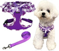 SuperBuddy Upgraded Soft Mesh Dog Harness, Super Breathable Lightweight Pet Harnesses for Puppy Dogs Outdoor Walking, Purple Dog Harness and Dog Leash Set Packing -Large