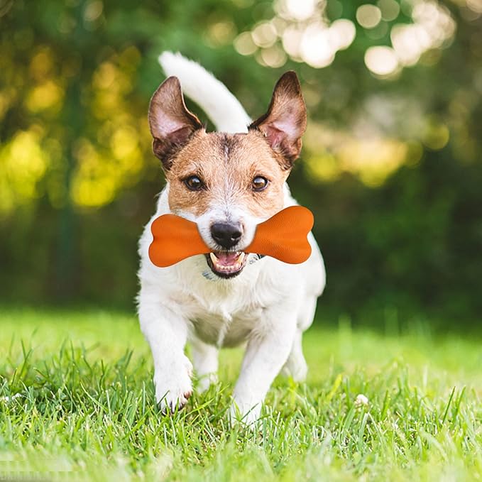 Dog Toys for Aggressive Chewers Dog SuperChewy Tough Dog Bone Toy for Large Medium Dogs Breed Strong Natural Rubber