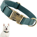 Dog Collars for Small Dogs Silicone Leather Dog Collars Soft Flexible Waterproof Odor-Proof Durable Thick Classic Adjustable Pet Puppy Collar (Green, Large (14.5-24" Neck))