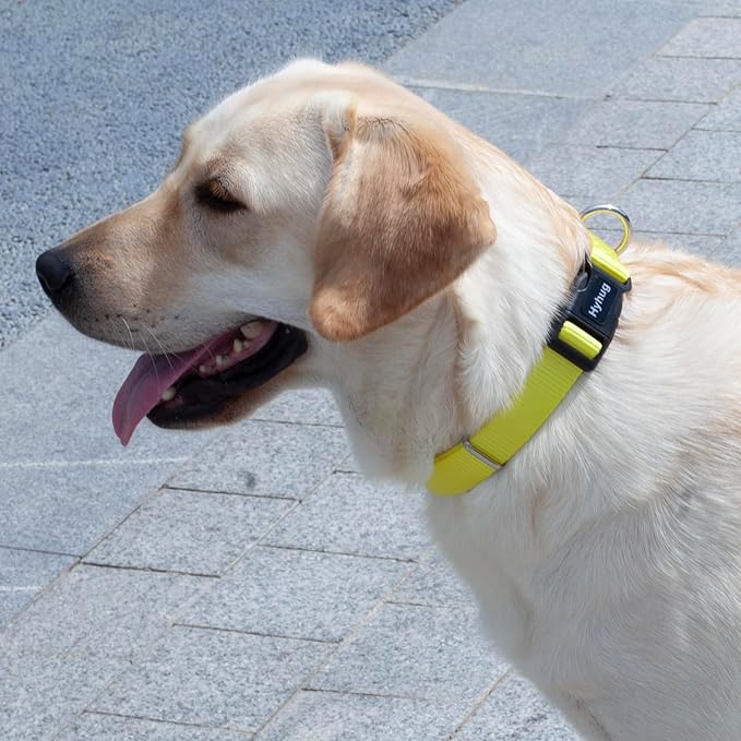 Hyhug Medium Dog Collar, Yellow:Heavy-Duty Quick-Release Nylon Buckle, Adjustable & Durable, Cute Dog Collar (Medium, Illuminating Yellow)