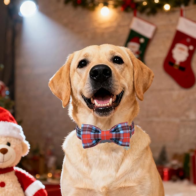 DOGWONG Christmas Dog Collar with Bow Tie, Red Blue Plaid Dog Collar Durable Metal Buckle Adjustable Soft & Cute Red Checkered Dogs Collars for Small Medium Large Dogs, S