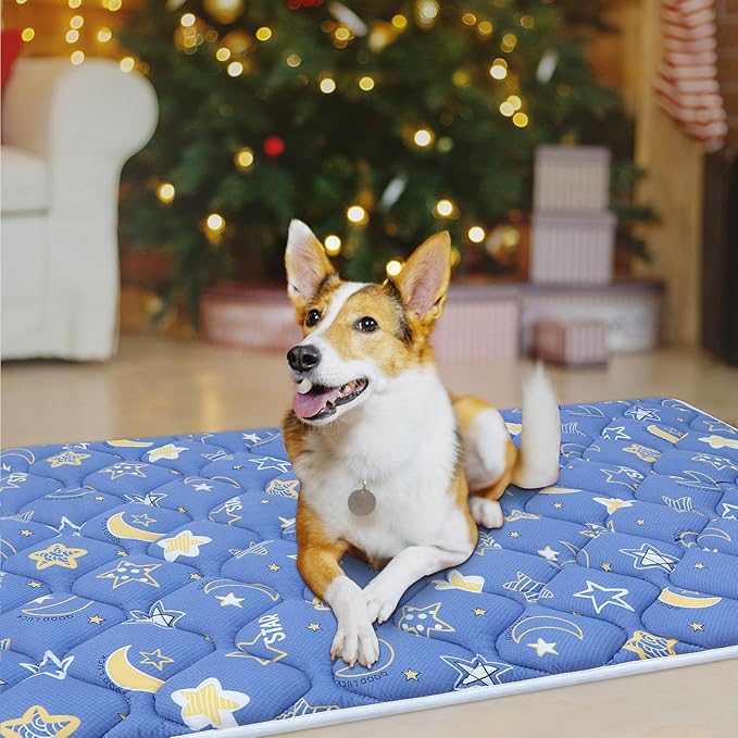 Bubble bear Dog Crate Mat - Ultra Soft, Washable & Anti-Slip Kennel Pad for Small/Medium/Large Dogs, Dark-Hued to Hide Stains (42"x28")