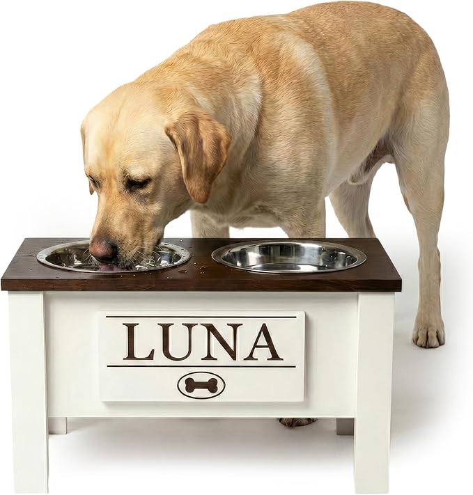 GTW Personalized Elevated Dog Bowl Stand for Large, Medium, Small, X-Small Dogs - Stainless Steel Food and Water Bowls - Raised Dog Dish with Internal Storage (Large, Dark Walnut)