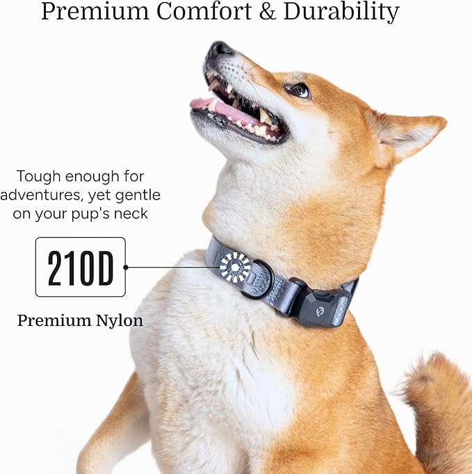 2026 New Edition, Fei & Eve MagEase Dog Collar - Patented Magnetic Buckles | Fur-Safe | Premium 210D Nylon | 450LB Escape-Proof | Adjustable Fit | Small (Dusk Blue)