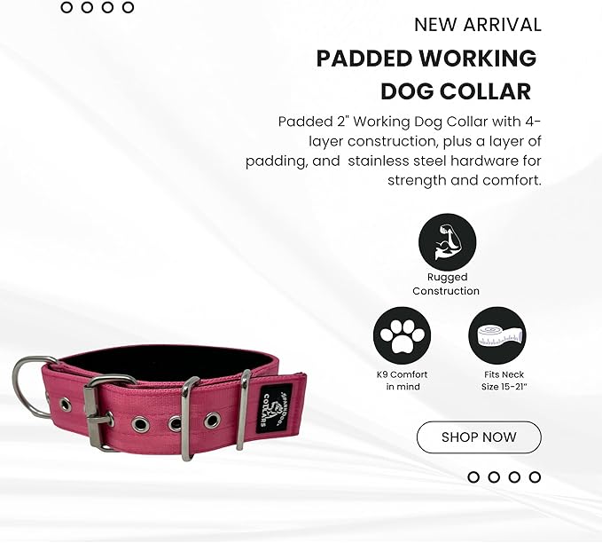 SparkDog Collars Working Dog Collar - 2" 4ply Padded Dog Collar Heavy Duty Stainless Steel Tactical Seatbelt Wide Buckle Collar (Pink 2.0, 16-21" Large)