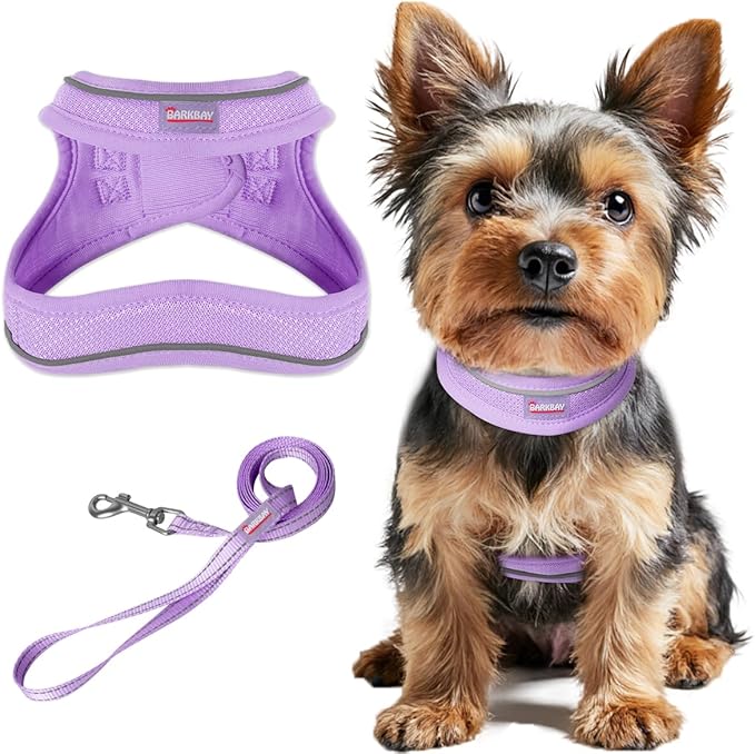 Dog Harness and Leash Set,Step in Small Sized Dog Harness,Soft Mesh,No-Chock,Reflective Adjustable,Secure with Hook & Loop Fastener,Puppy Vest for Small,Medium Dogs(Violet Purple,XXS)