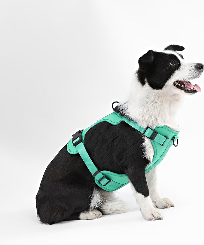 HNS1003K Arlo Large Adjustable Soft Padded No Pull Pet Harness with 3 Buckles and 3 Leash Clips, Julep