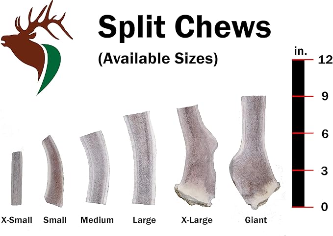 Small Split Twin Pack (for 0-20 lb Dogs and Puppies) Premium Grade Elk Antlers for Dogs (2 Pieces) Sourced in The USA
