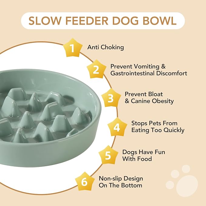 Ceramic 3.2 Cup Dog Bowl Slow Feeder, 9.5 inch Slow Pet Food Dish for Large Dog, Stop Bloat, Preventing Choking(Single Bowl,Light Green)
