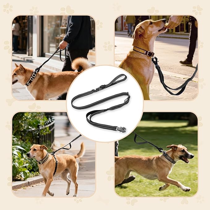 Detachable Heavy Duty Tactical Dog Leash, 9.7FT Hand-Free Bungee Shock Absorption Leash with Padded Handle Quick Release Metal Clip Car Seatbelt No Pull Training Lead for Medium & Large Dogs (Black)