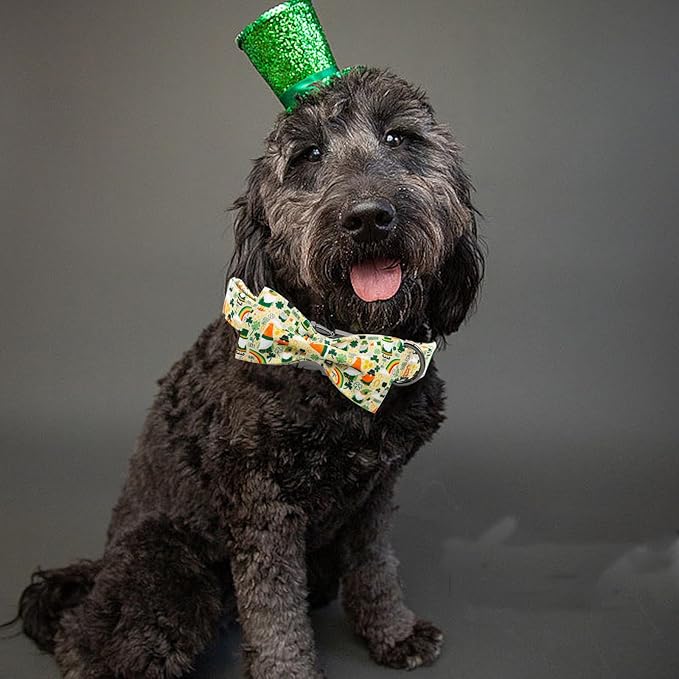 Elegant little tail St. Patrick's Dog Collar, Green Clover Print Sturdy Soft Dog Collars Pet Gift Puppy Bowtie Adjustable Pet Collars for X-Small Dogs