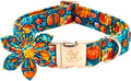 Elegant little tail Fall Dog Collar, Halloween Pet Collars with Flower Cute Pumpkin Print Puppy Collar Female or Male Cotton Adjustable Collars for Small Medium Large Dogs