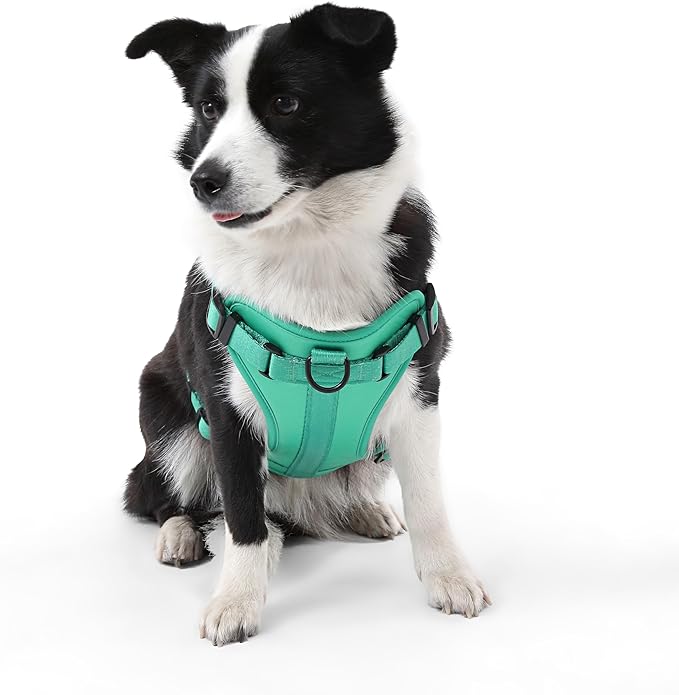 HNS1003K Arlo Large Adjustable Soft Padded No Pull Pet Harness with 3 Buckles and 3 Leash Clips, Julep