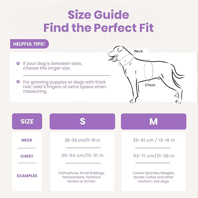 No Pull Dog Harness and Leash Set 3-in-1, Adjustable Anti Pull Dog Puppy Harness with Hands-Free Matching Leash and Poop Bag Holder, Easy Walk Dog Harness Medium, small Sized Dog (Lilac)
