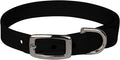 Susan Lanci Designs Ultrasuede Premium Dog Collar, Black, Medium