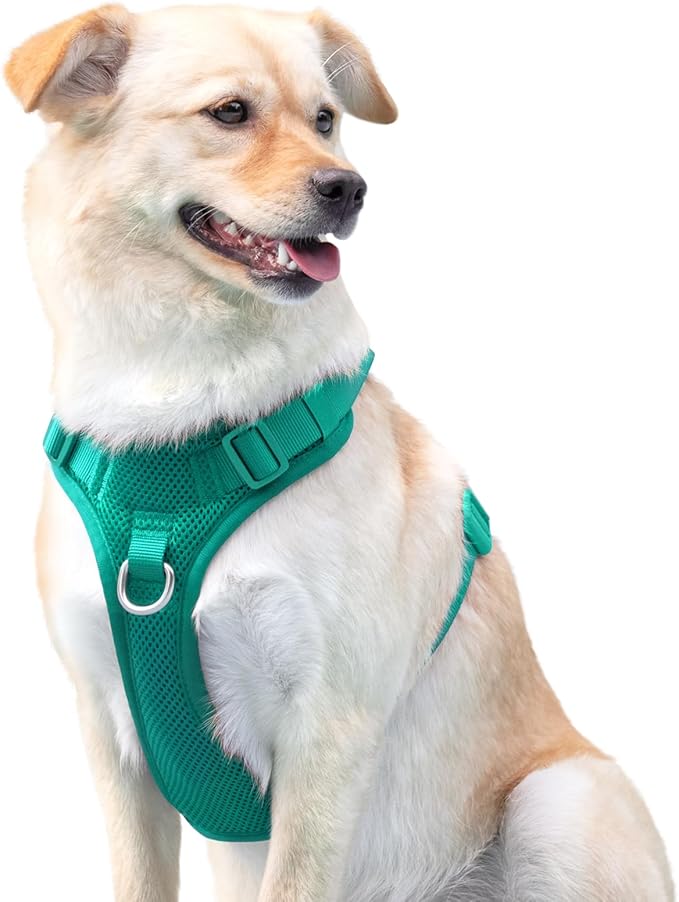 No Pull Dog Harness for Small Medium Large Dogs - Adjustable 2 Layer Mesh Dog Vest with Dual Clip, Escape Proof, Quick Release, Lightweight Breathable Mesh for Walking Hiking (MARRS Green,S)