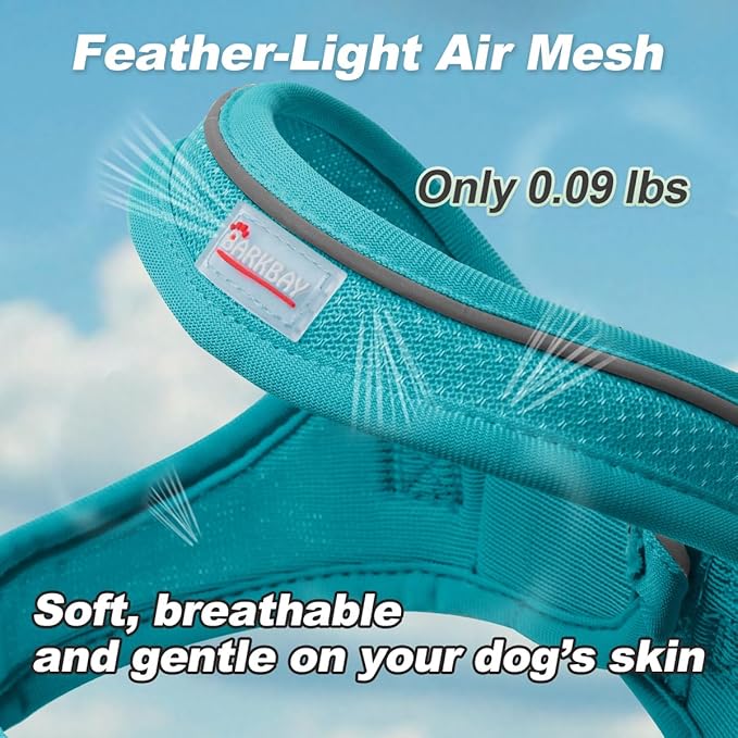 Dog Harness and Leash Set,Step in Small Sized Dog Harness,Soft Mesh,No-Chock,Reflective Adjustable,Secure with Hook & Loop Fastener,Puppy Vest for Small,Medium Dogs(Ocean Blue,M)