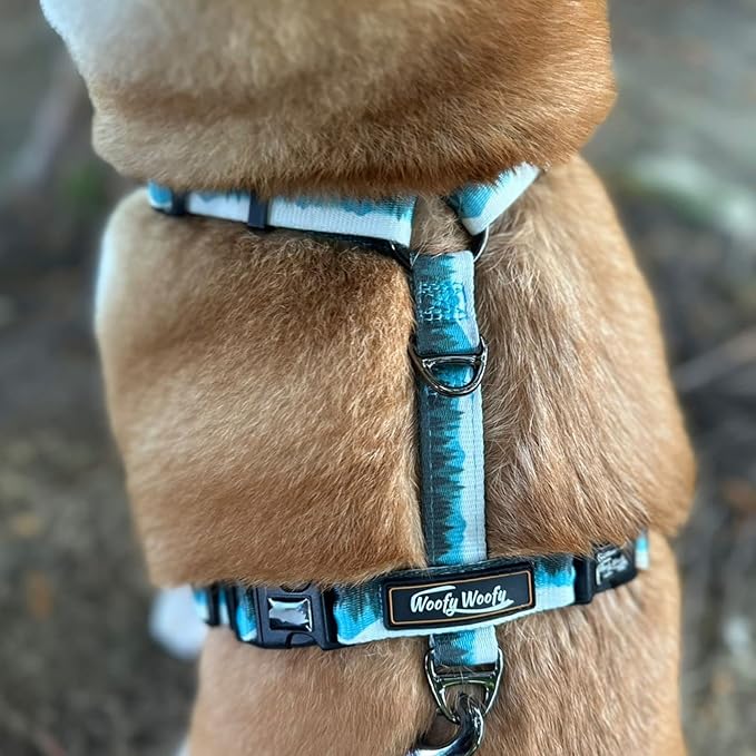 Casual H Dog Harness, No-Pull Pet Harness with 2 Leash Clips, Adjustable Soft Padded Dog Vest for Small, Medium, and Large Dogs, Forest Green Gradiant Color (M)