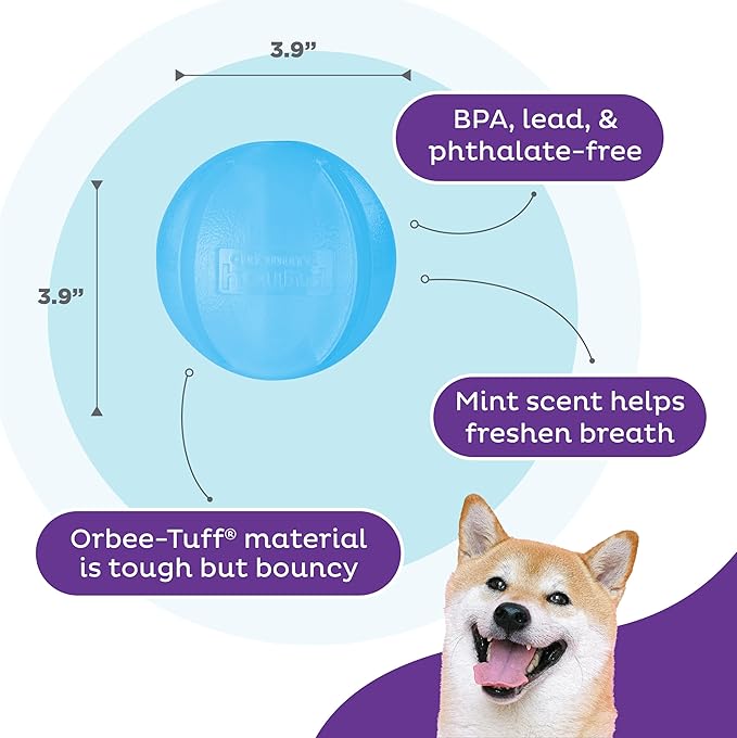 Outward Hound Guru Treat-Dispensing Puzzle Ball Dog Toy, Blue