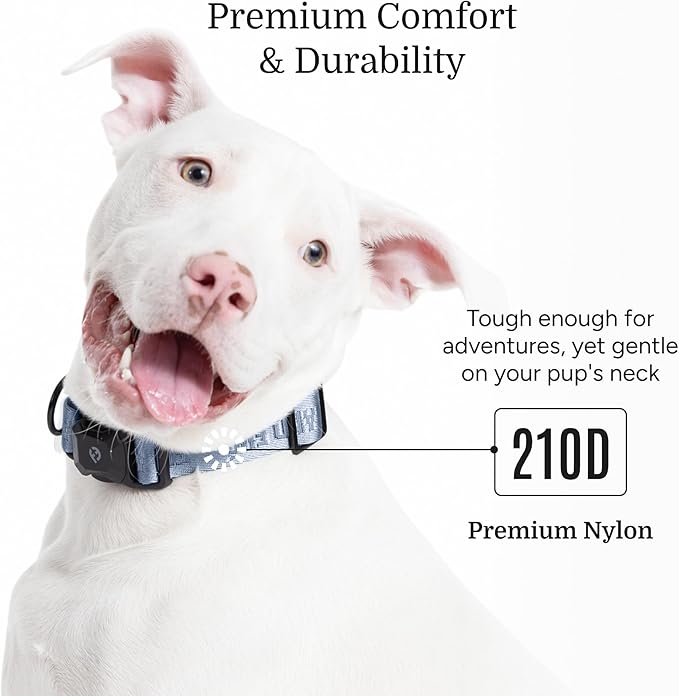 2026 New Edition, Fei & Eve MagEase Dog Collar - Patented Magnetic Buckles | Fur-Safe | Premium 210D Nylon | 450LB Escape-Proof | Adjustable Fit | Medium (Dusk Blue)