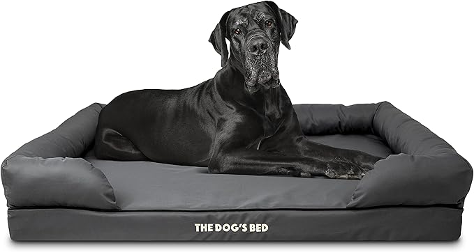 The Dog’s Bed Orthopedic Memory Foam Dog Bed with Bolsters, Oxford Fabric, Grey with Black Trim, XXL