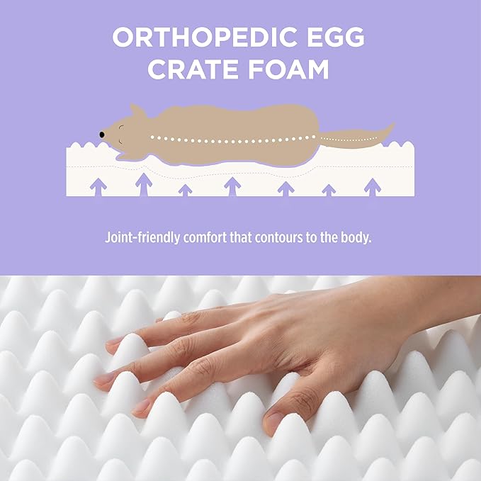 LE SURE Cute Orthopedic Dog Bed Large Sized Dog, Waterproof Chic Flat Pet Beds with Removable Washable Cover, Fuzzy Thick Egg Crate Foam Pet Mat for Indoor Use (36" x 27", Grey)