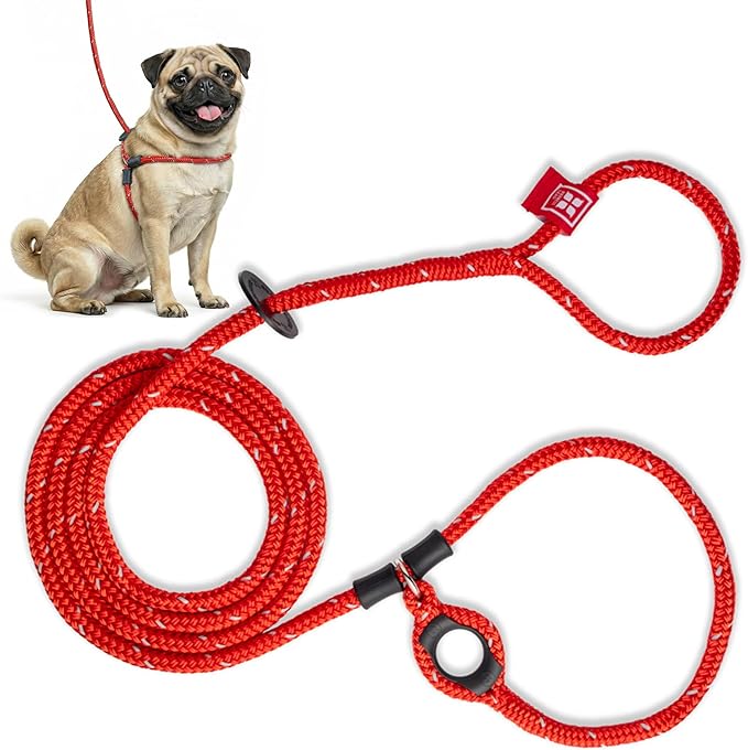 Harness Lead No Pull Dog Harness and Leash Set, Anti Pull Dog Harness, One-Piece Cushioned Rope Safely Prevents Escaping and Pulling *New Insert is Removable (Small/Medium, Red/Reflective)