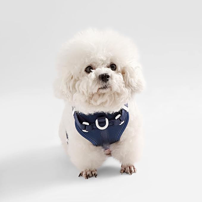 HNS1001J Arlo Small Adjustable Soft Padded No Pull Pet Harness with 3 Buckles and 3 Leash Clips, Highball