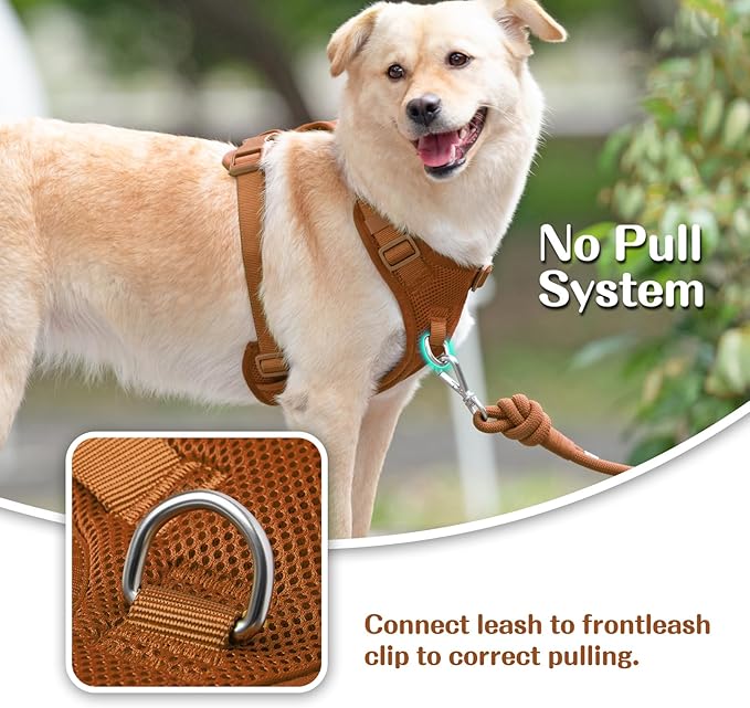 No Pull Dog Harness for Small Medium Large Dogs - Adjustable 2 Layer Mesh Dog Vest with Dual Clip, Escape Proof, Quick Release, Lightweight Breathable Mesh for Walking Hiking (Carmel Brown,S)