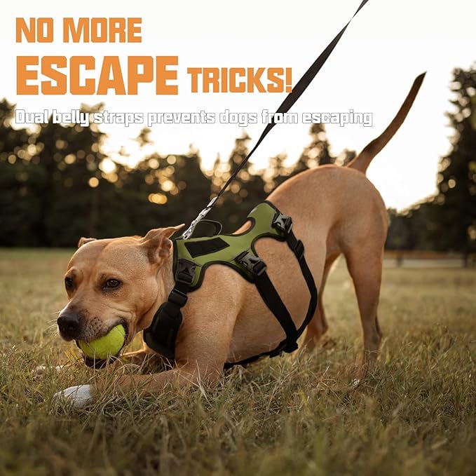 AUROTH Escape Proof Dog Harness - No Pull with Lift Handle, Soft Padded Reflective Adjustable Vest, Large for Walking, Hiking, Training