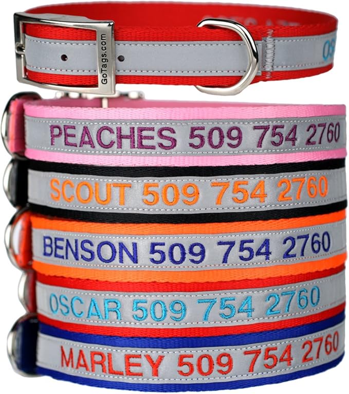 GoTags Embroidered Reflective Dog Collars with Metal Buckle, Personalized Dog Collar Custom Embroidered with Pet Name and Phone Number, Sizes for Puppy and Dogs Extra Small, to Medium and Large